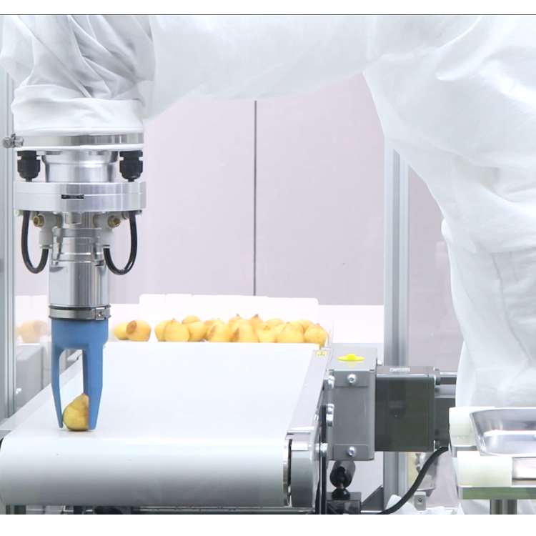 Bras robotique CNC 6 axes avec - Robot Gripper avis et prix